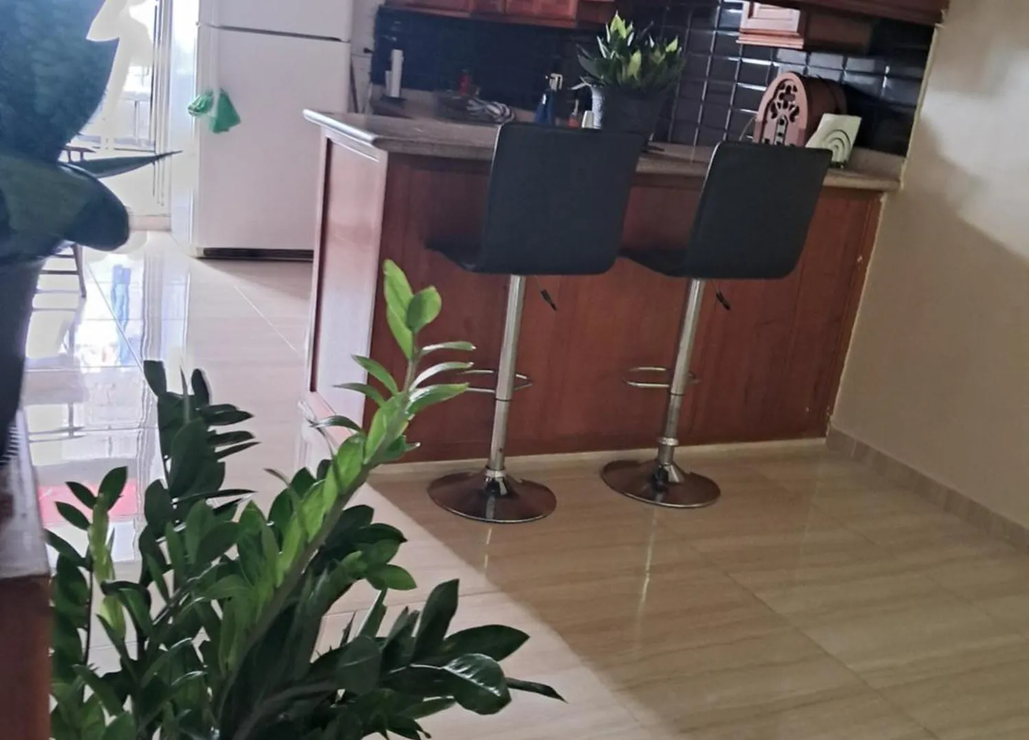 Veronica Santo Domingo Homestay